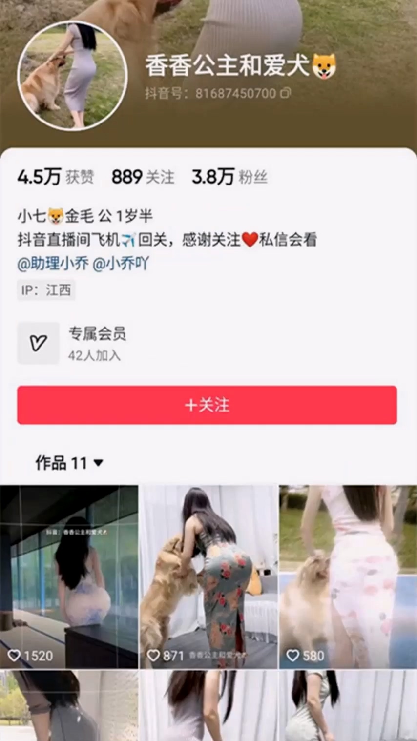thumb-b5f3ee2bc50104a0ecc3185793ba256bcf71ffecc32524def2878a8f3cdcea58_10718cc75e_5ae3ece1b9893ebe4e3971b546bc766472b149e447aaa0e14d0d156dcb4ce0d2_800x1422.jpg